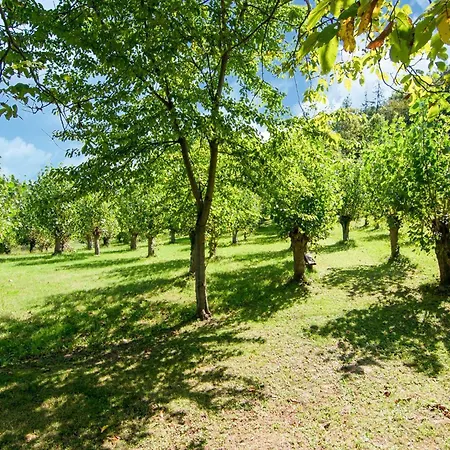 Large Group Retreat With Pool, Cleaning Included *